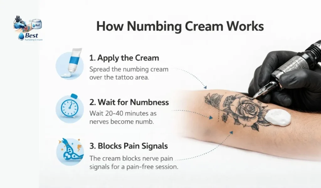 How Numbing Cream Works