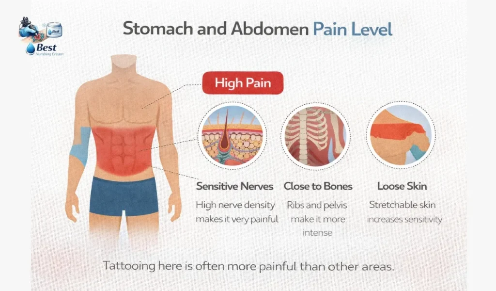 Stomach and Abdomen Pain Level